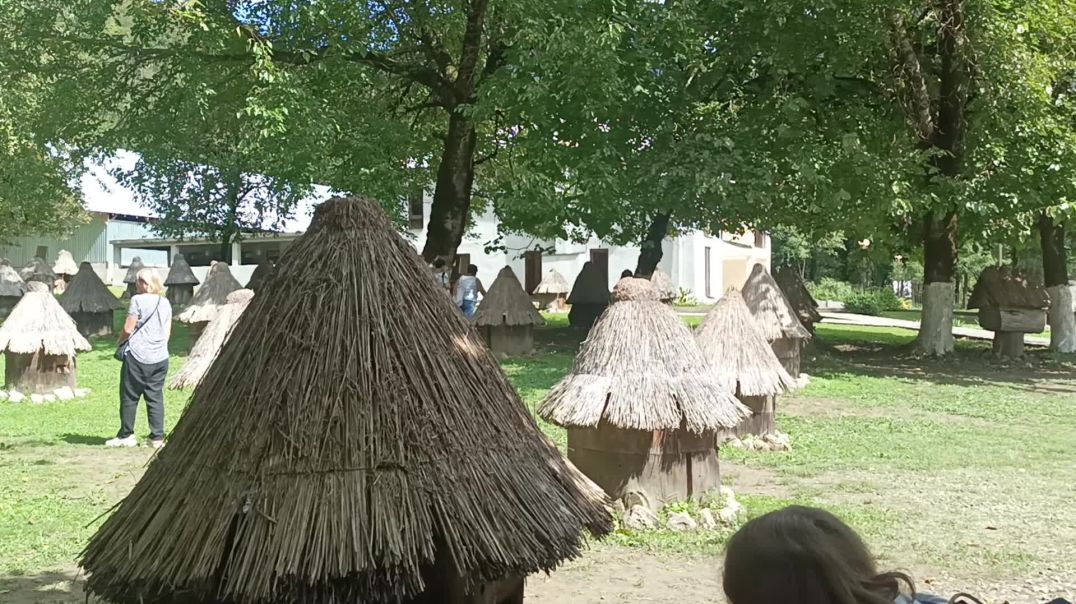 Мёд и Пчелопродукты на Экскурсии в Абхазию